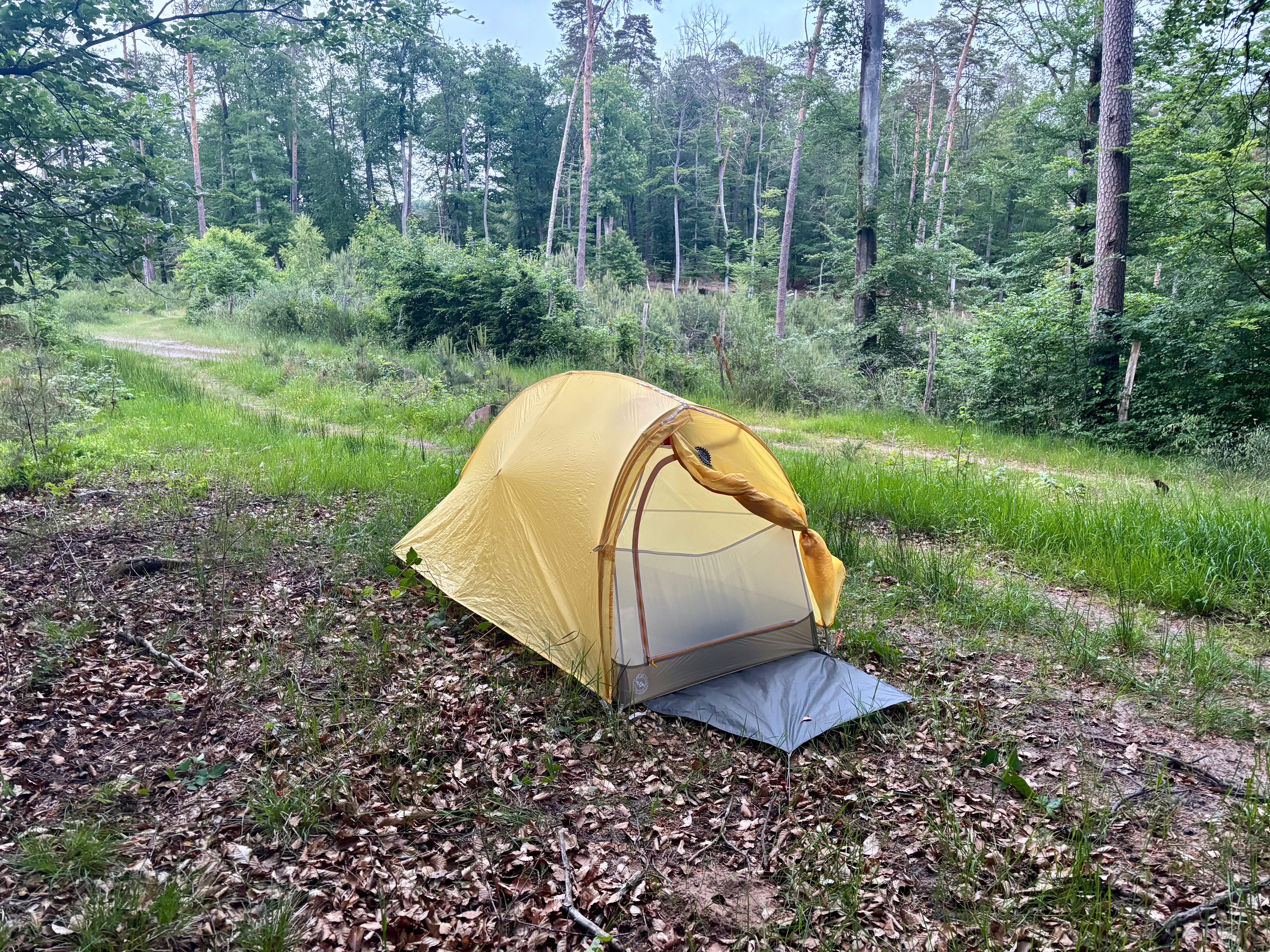 Big Agnes Fly Creek HV UL1 tent in a forest