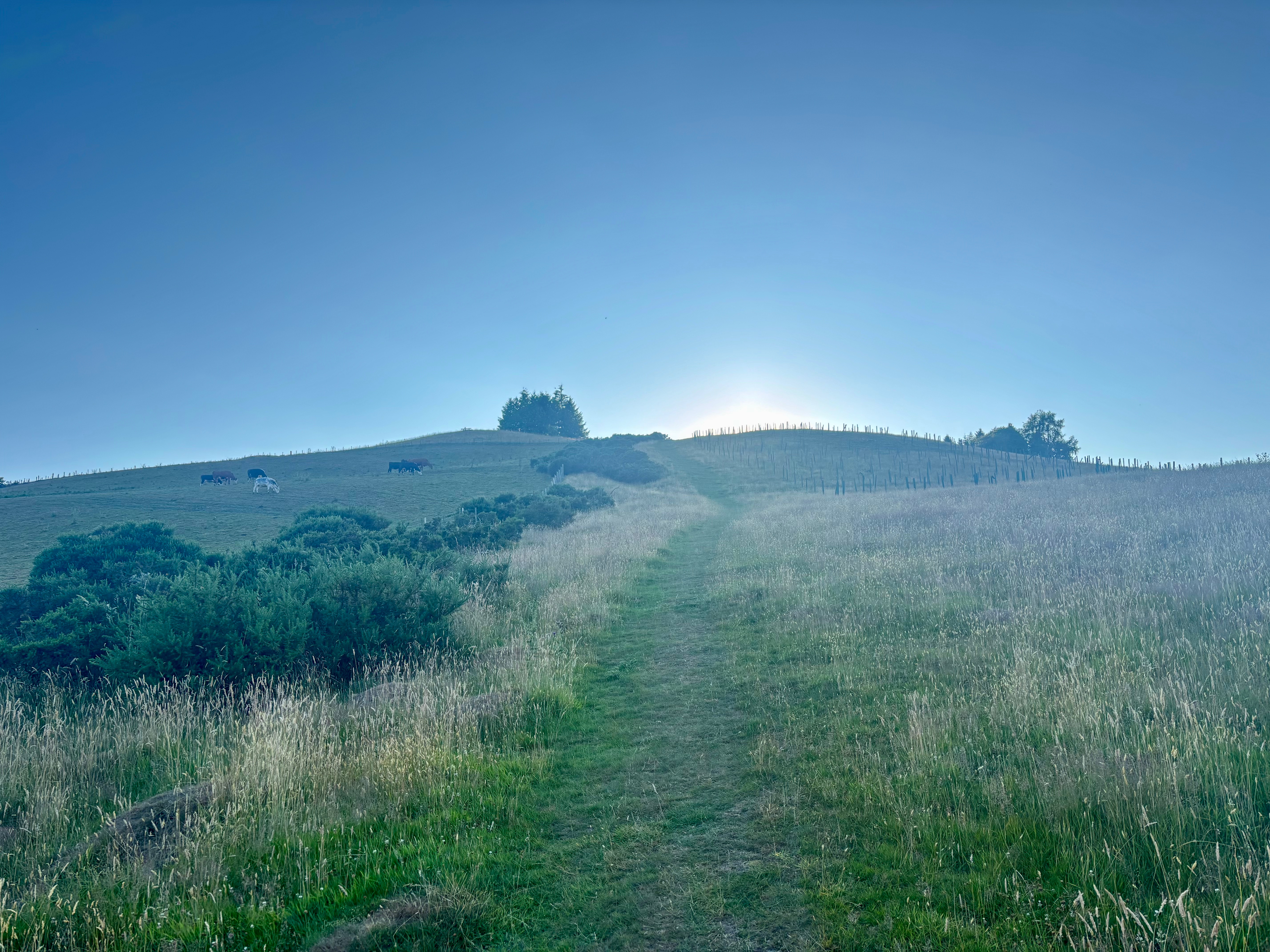 View of a steep hill in Wales