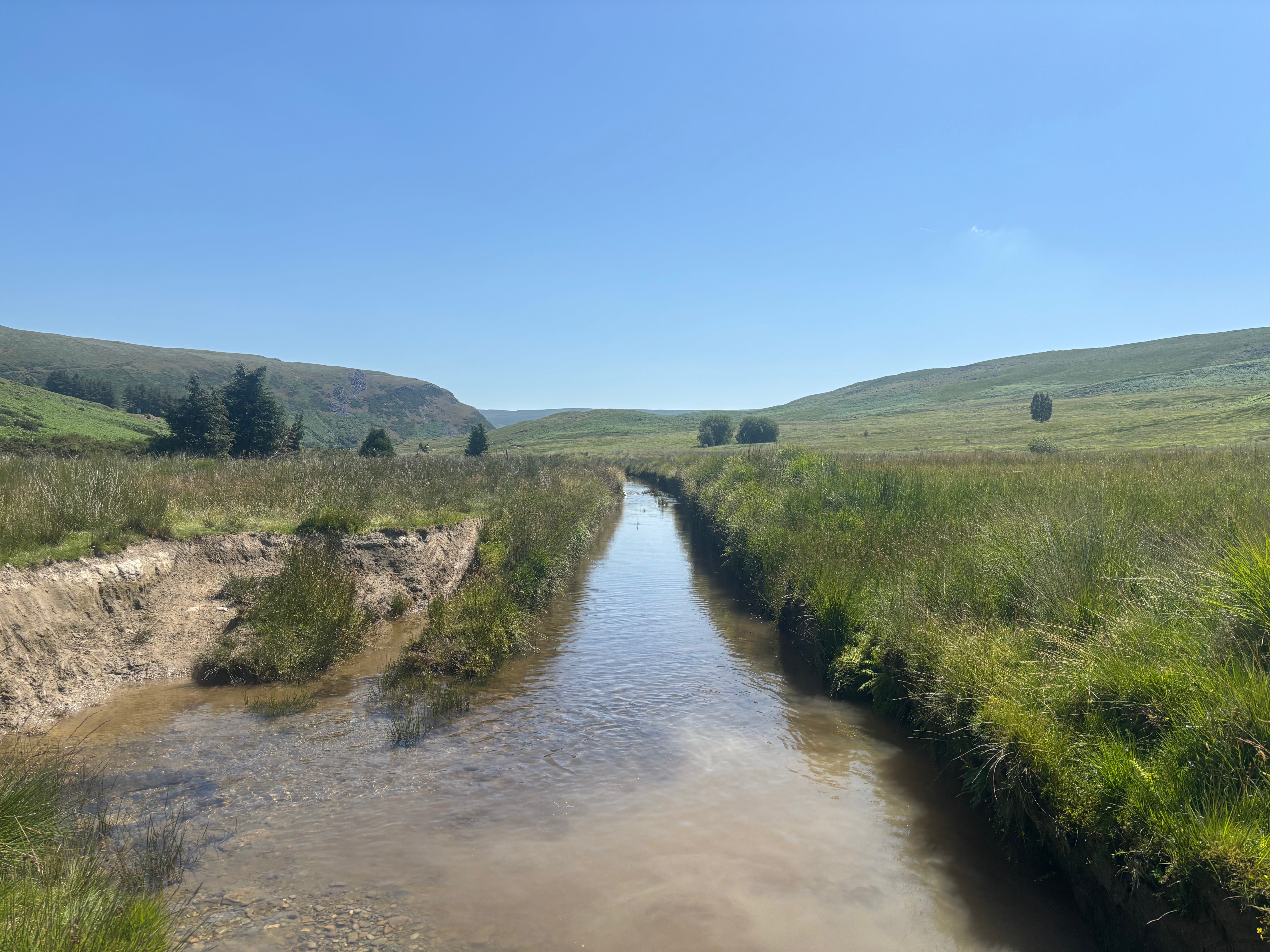 Water crossing on a singletrack trail. 