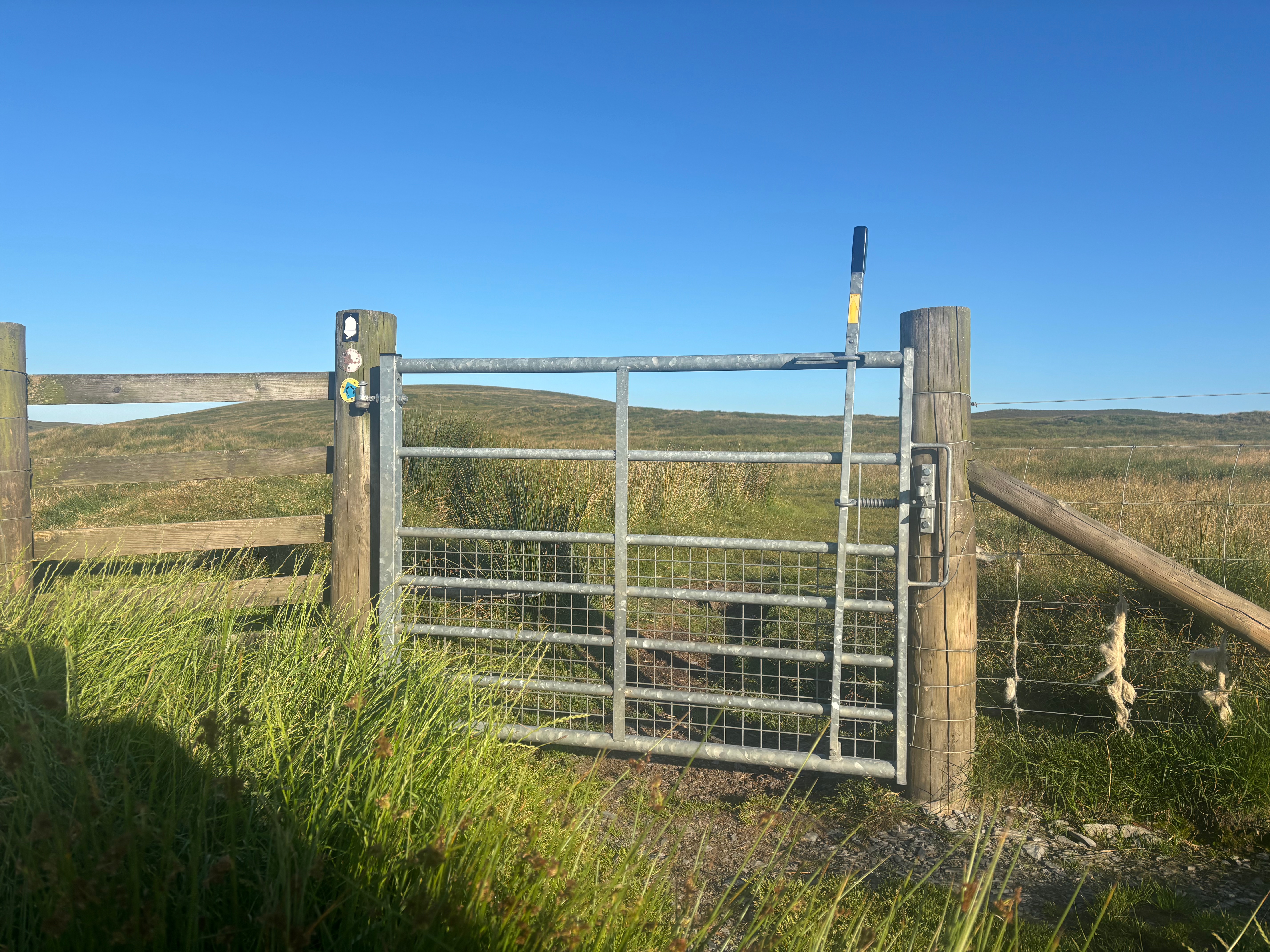 Gate in Wales