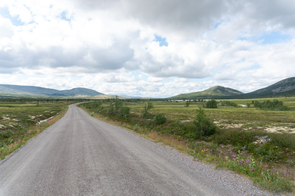 Norwegian view of a gravel road