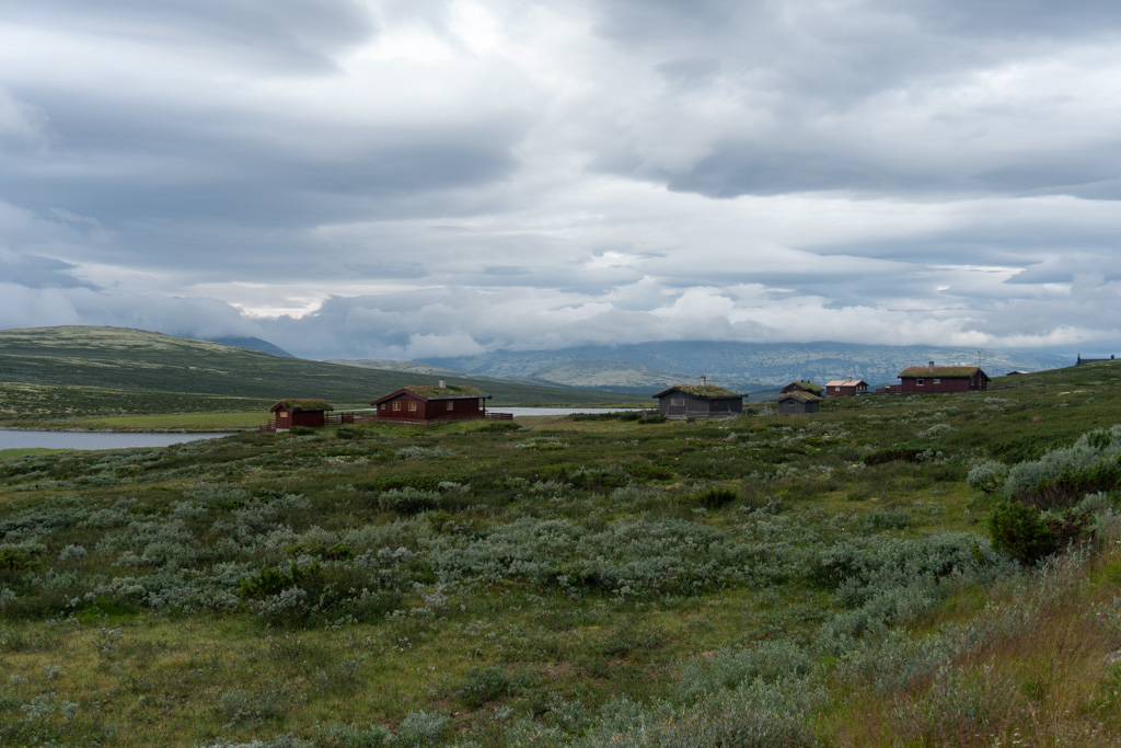 Norwegian view