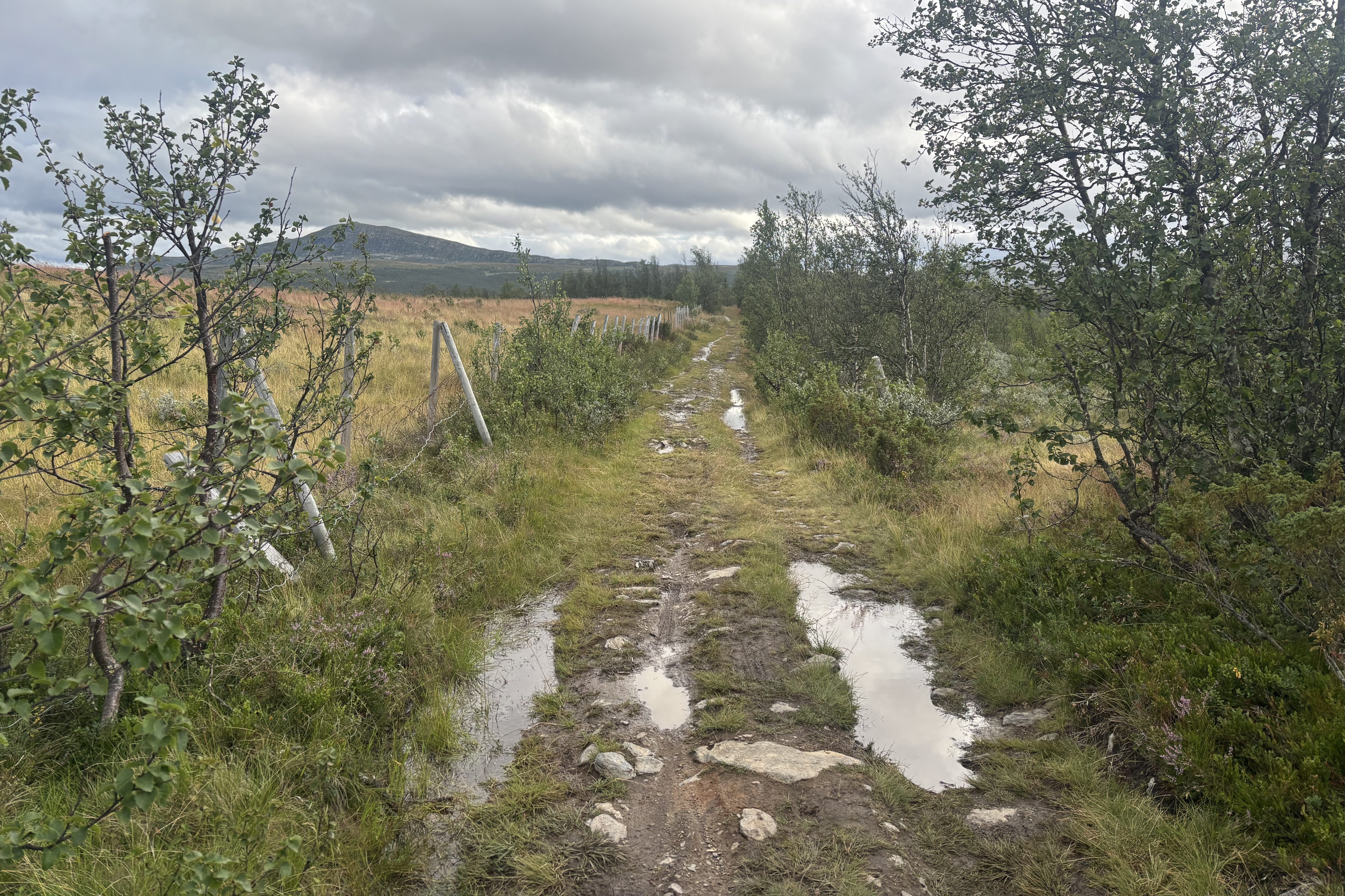 Muddy gravel path
