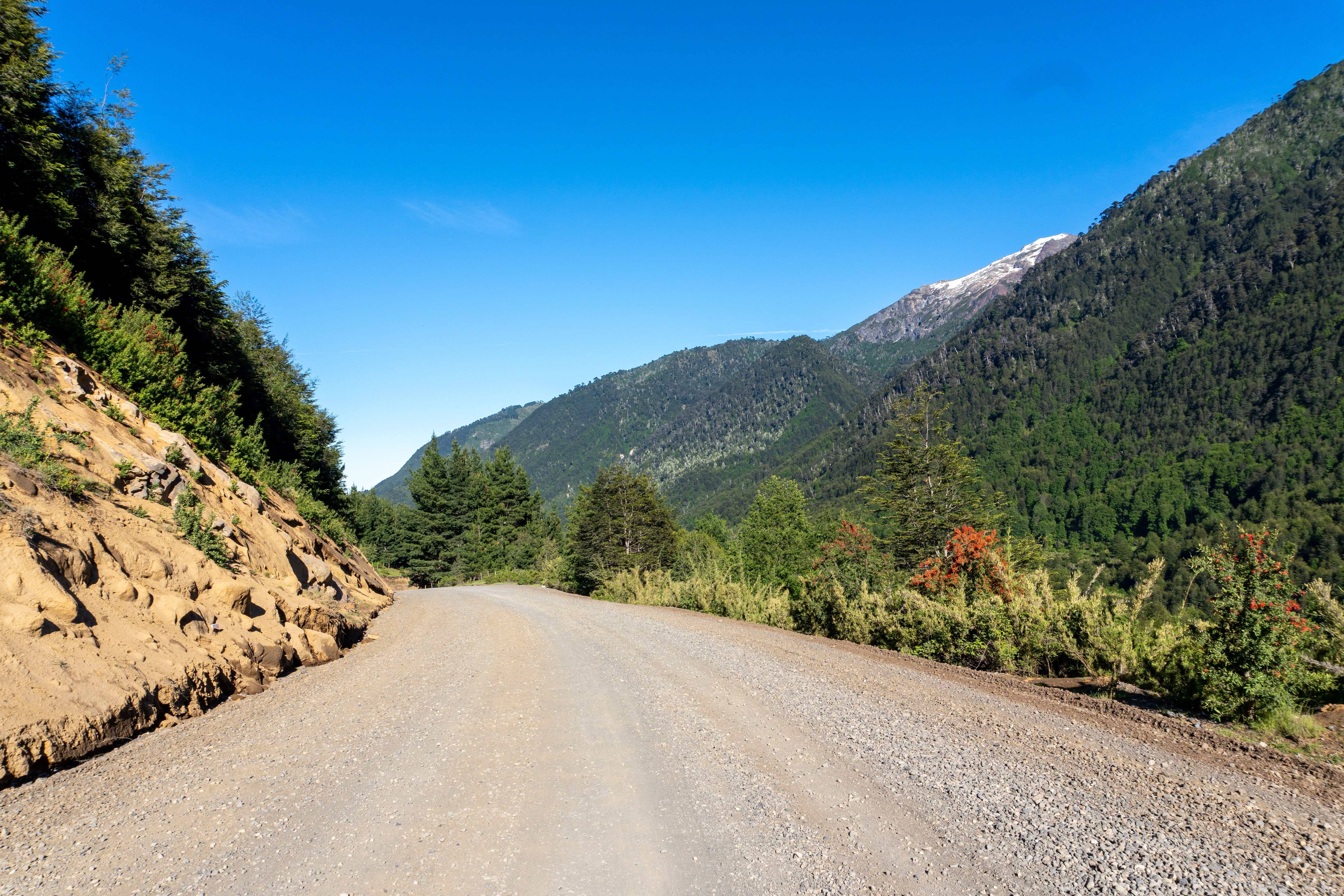 Icalma Pass in the Chilean Lake District