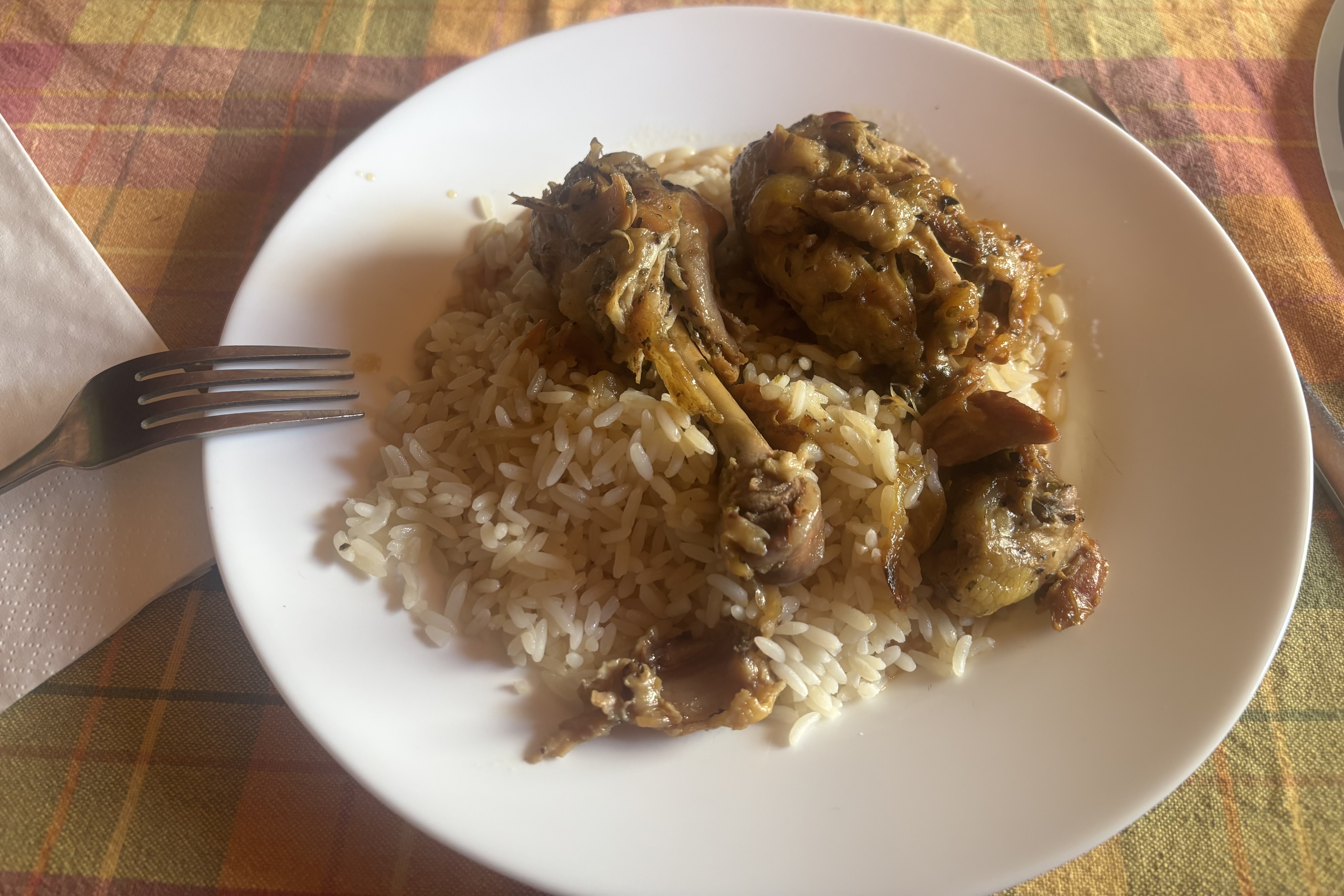 Chicken and rice on a plate